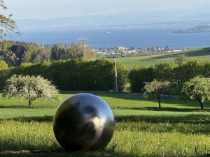 IMG_4785