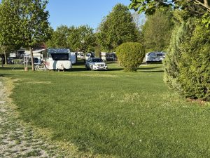 IMG_4791