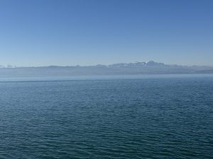IMG_4811