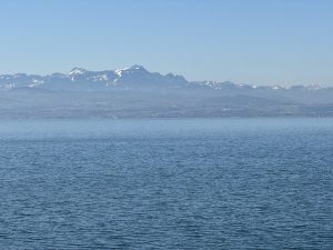 IMG_4812