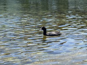 IMG_4843