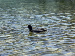 IMG_4845