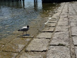 IMG_4853