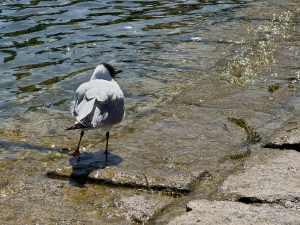 IMG_4857