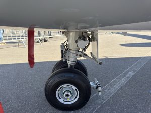 IMG_4874