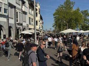 IMG_4981