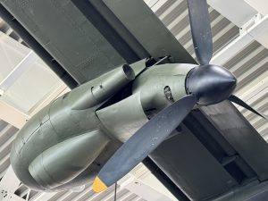 IMG_5083