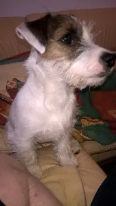 filipek_dalsi_spink_0002