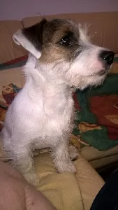 filipek_dalsi_spink_0003