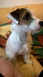 filipek_dalsi_spink_0004