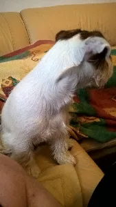 filipek_dalsi_spink_0005