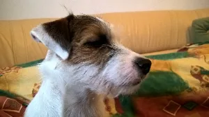 filipek_dalsi_spink_0009
