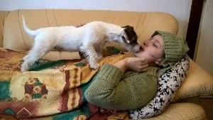 filipek_dalsi_spink_0010
