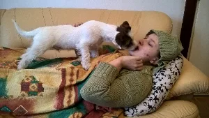filipek_dalsi_spink_0011