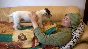 filipek_dalsi_spink_0013