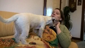 filipek_dalsi_spink_0022