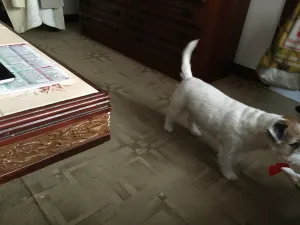 filipek_filipek_odpociva_2023_0008
