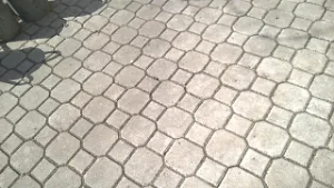 filipek_filipek_venku_0013