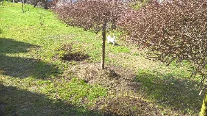 filipek_filipek_venku_0016