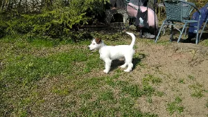 filipek_filipek_venku_0019