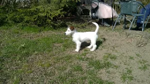 filipek_filipek_venku_0020
