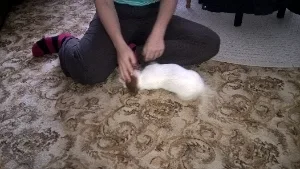 filipek_mikrofilipek_0002