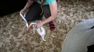 filipek_mikrofilipek_0006