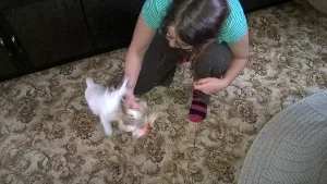 filipek_mikrofilipek_0008