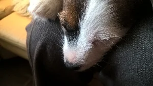 filipek_mikrofilipek_0038