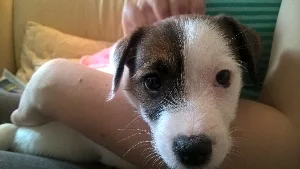 filipek_mikrofilipek_0047
