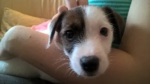 filipek_mikrofilipek_0048
