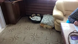 filipek_mikrofilipek_0055