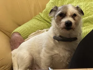 filipek_vanoce_2025_0012