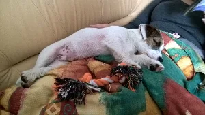 filipek_spink_0002