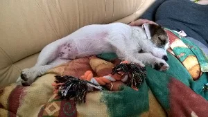 filipek_spink_0003