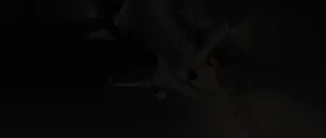 game_screens_flight_simulators_a320_from_prague_to_valenzia_tessero_lkpr_lipz_0046