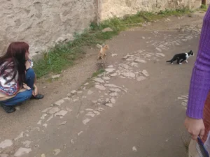 moje_konicky_serm_tocnik_2012_0015