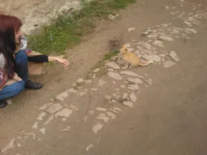 moje_konicky_serm_tocnik_2012_0017