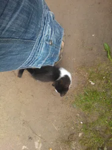 moje_konicky_serm_tocnik_2012_0018