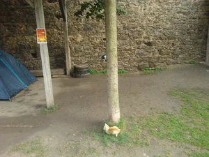 moje_konicky_serm_tocnik_2012_0050