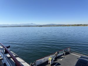 IMG_4816