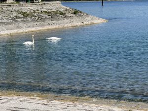IMG_4833