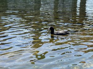 IMG_4841