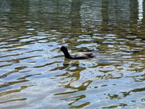 IMG_4842
