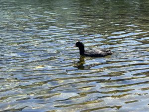 IMG_4844