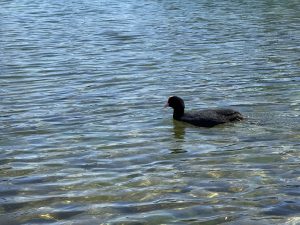 IMG_4846
