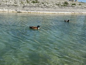 IMG_4848