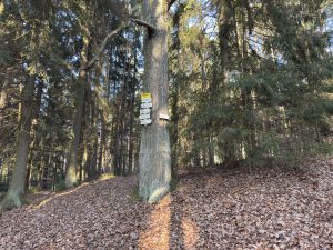 img-3934