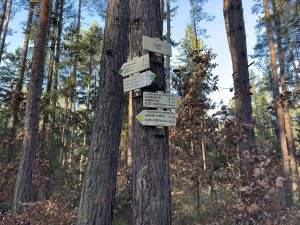 img-3935