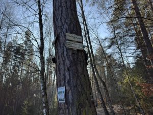 img-3937